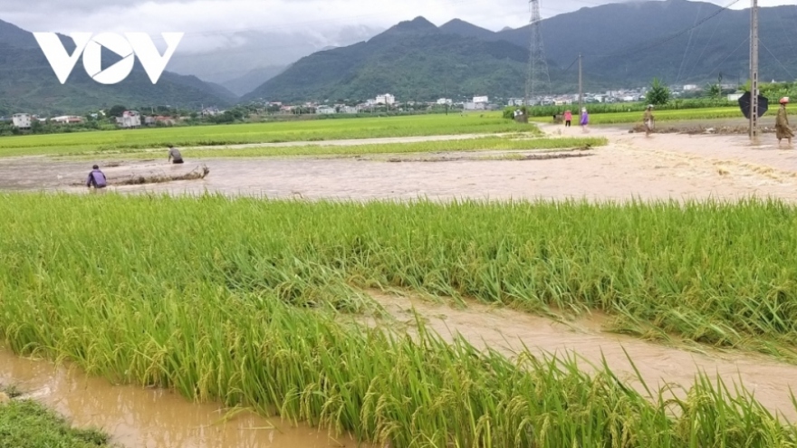 Six dead and two missing in northern and central Vietnam flooding