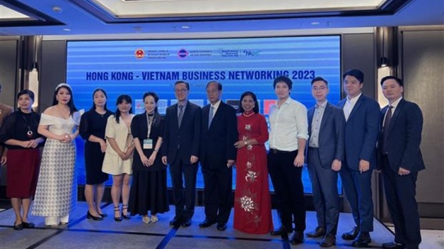 Vietnam, China's Hong Kong promote business connections