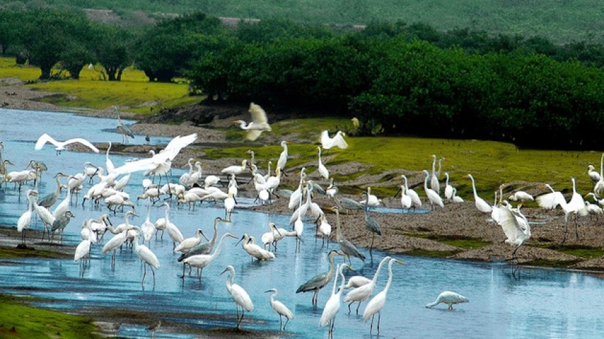 Xuan Thuy National Park seeks ASEAN heritage status