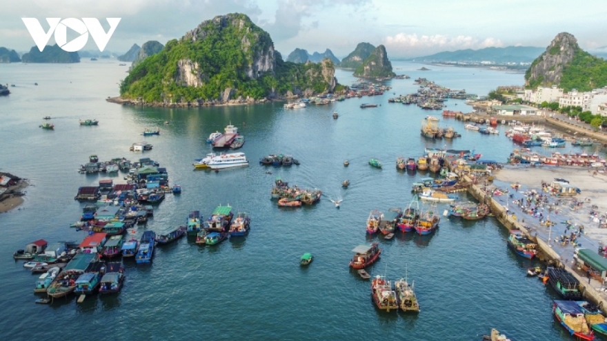 Foreign media hails beauty of Bai Tu Long island