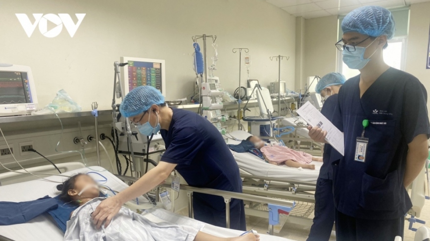 Hanoi reports first Japanese encephalitis case of the year