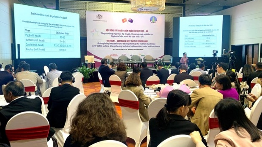 Symposium highlights Vietnam-Australia cooperation on cattle raising