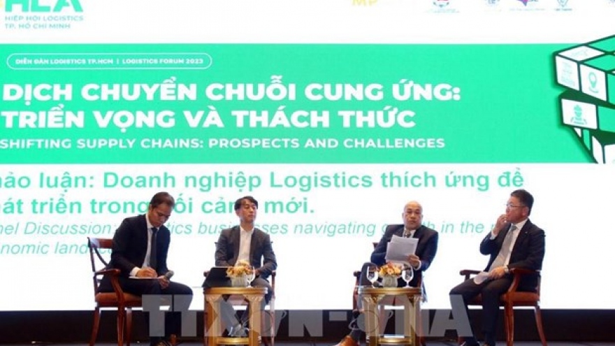Weathering logistics hurdles to welcome supply chain shifts: experts