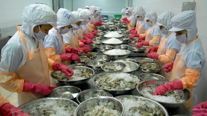 Vietnam emerges as largest shrimp supplier to RoK market