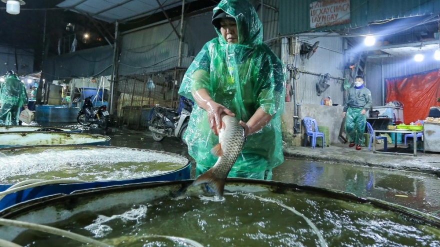 Traders in Yen So fish market make a living on freezing cold nights