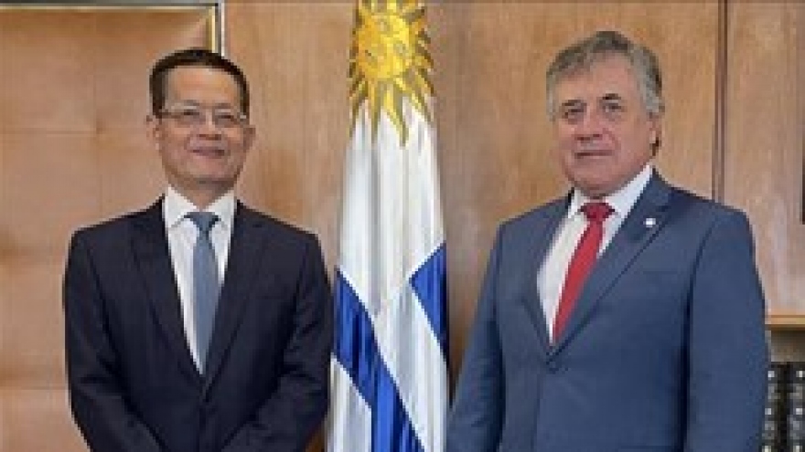 Plenty of room for Vietnam, Uruguay to boost cooperation: Uruguayan FM