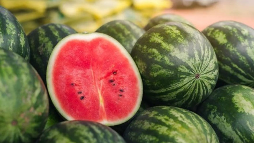 Protocol expected to raise Vietnamese watermelon shipments to China