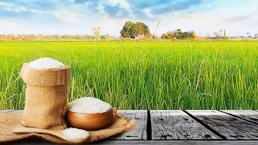 Vietnam’s export rice price plummets in global market