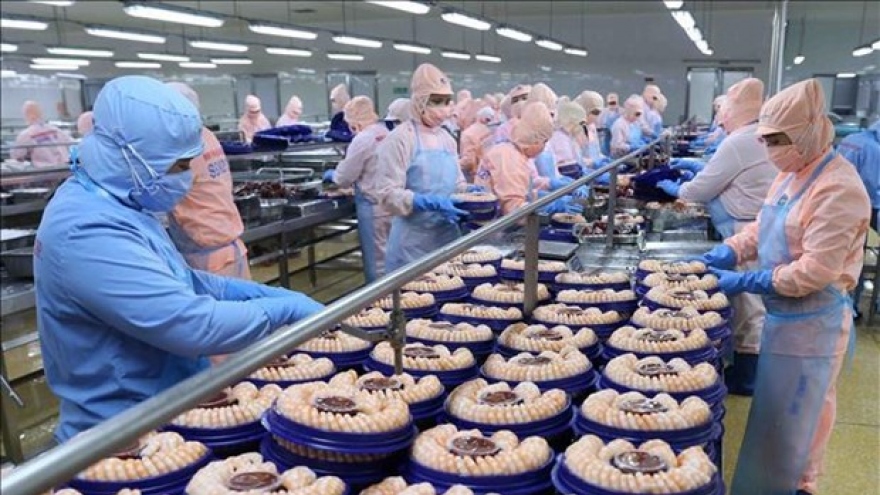 Challenges remain for Vietnam’s aquaculture exports: official