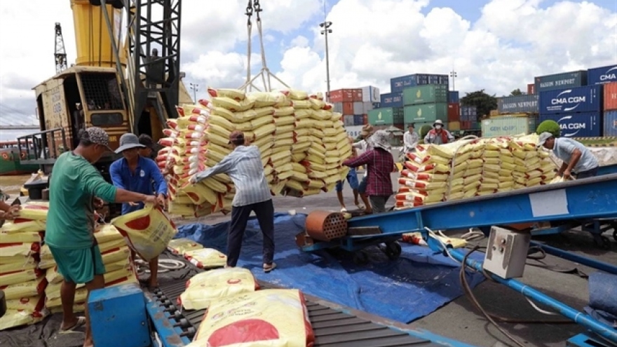 Vietnamese companies win Indonesian rice contracts