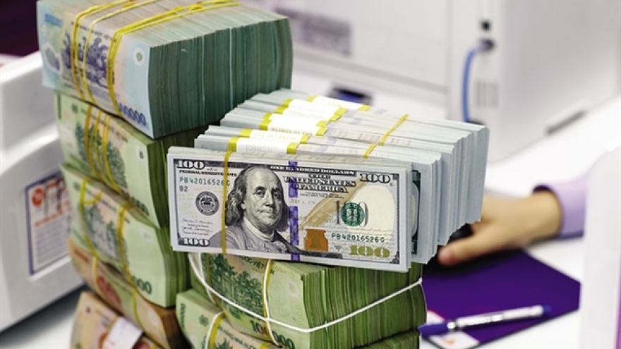 Foreign exchange rate forecast to be under control in 2024