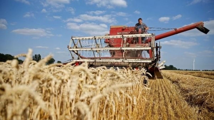 Australia supplies most wheat to Vietnamese market in January