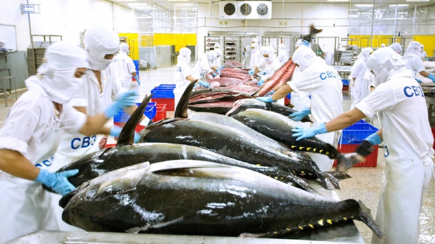 Middle East emerges as fourth largest consumer of Vietnamese tuna