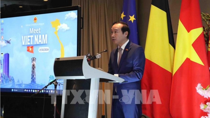 Measures sought to promote Vietnam-Belgium cooperation