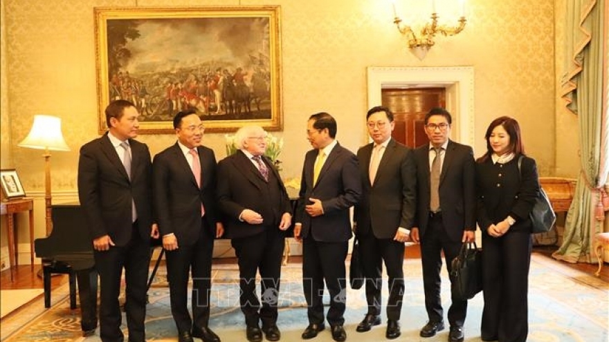 Irish President expects stronger co-operation with Vietnam