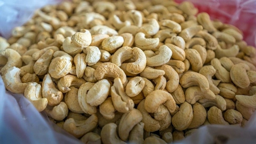 Cashew import and export activities face challenges ahead