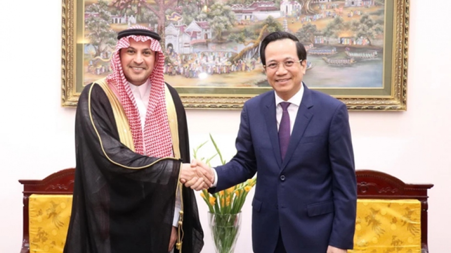 Vietnam, Saudi Arabia bolster labour collaboration