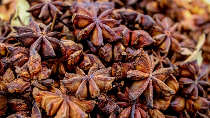 Vietnamese anise exports to India skyrocket by 178% in March