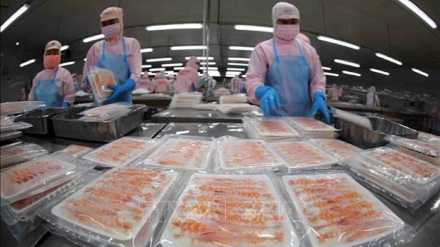 Shrimp exports to major markets bounce back