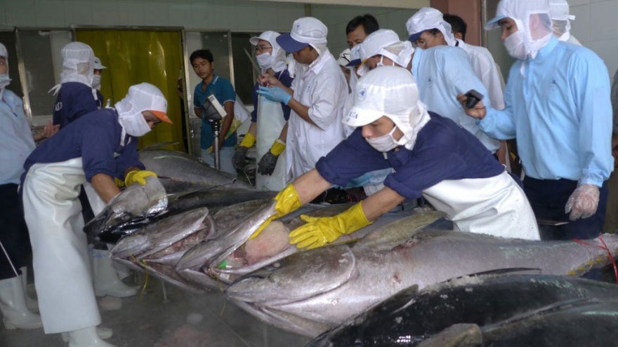 Tuna exports to Poland skyrocket by 786% during two-month period