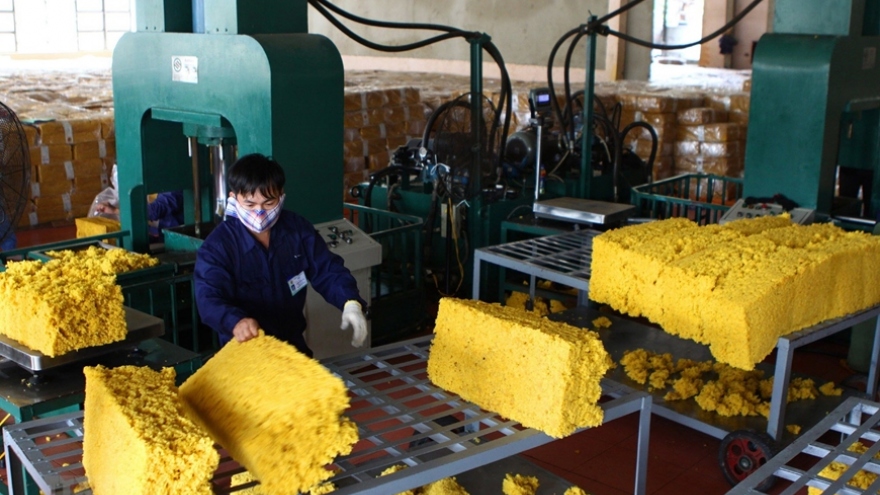 Ample room ahead for Vietnamese rubber exports to US