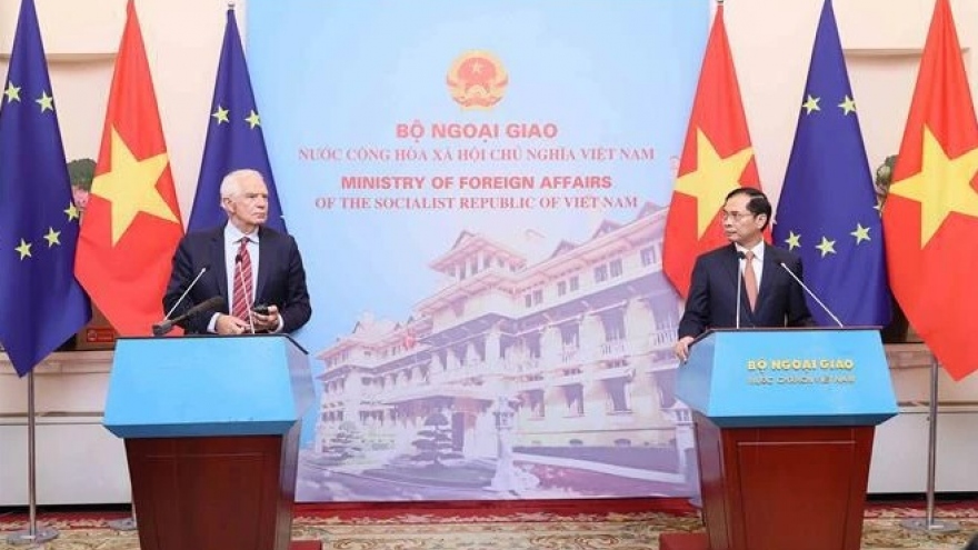 EU considers VN among leading important partners in region: EC Vice President