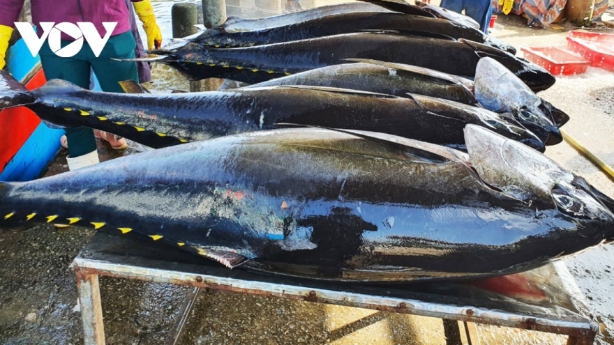 Tuna exports bring back nearly US$500 million in first half