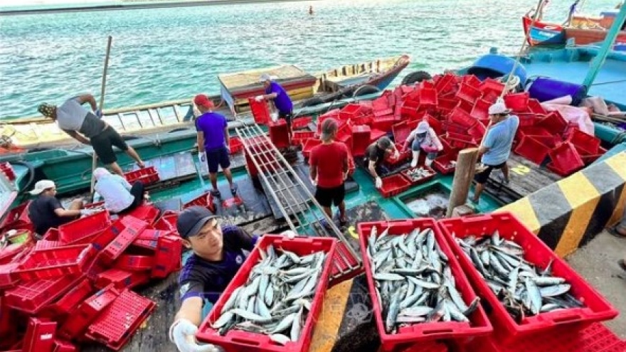 Malaysian officials share experience in sustainable fisheries development