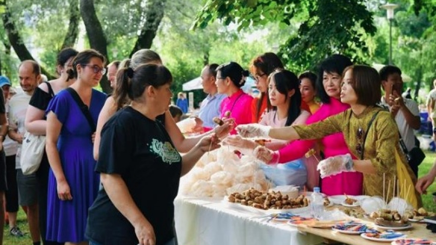 First Vietnamese culture day held in Croatia