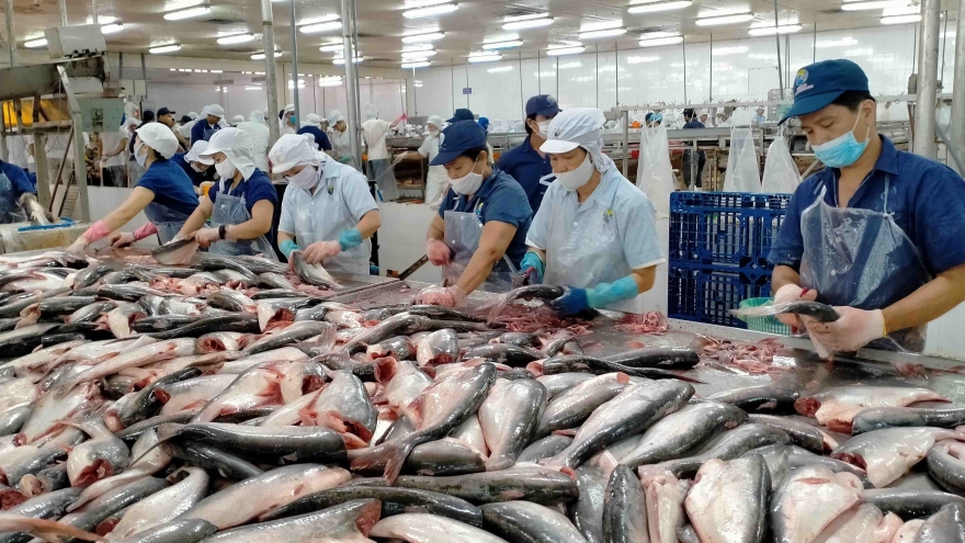 Vietnam emerges as second largest supplier of whitefish to US