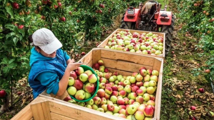 Polish agricultural products promoted in Vietnam