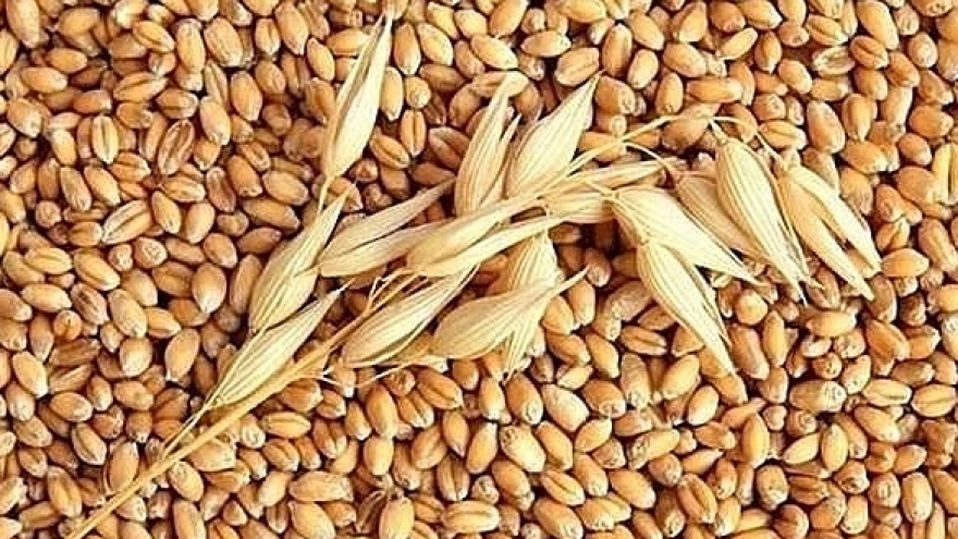 Vietnam spends over US$1 billion importing wheat in eight months