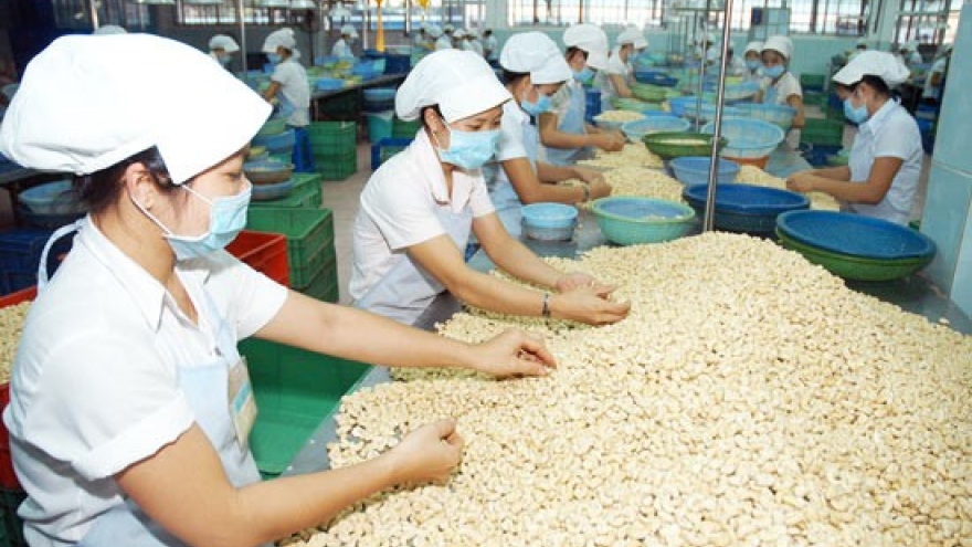 Vietnam emerges as largest importer of cashew nuts from Cambodia