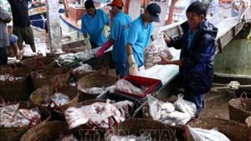Quang Tri works hard to fight illegal fishing