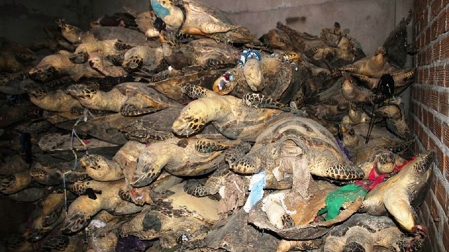 Vietnam continues urgent action for wildlife crime prevention