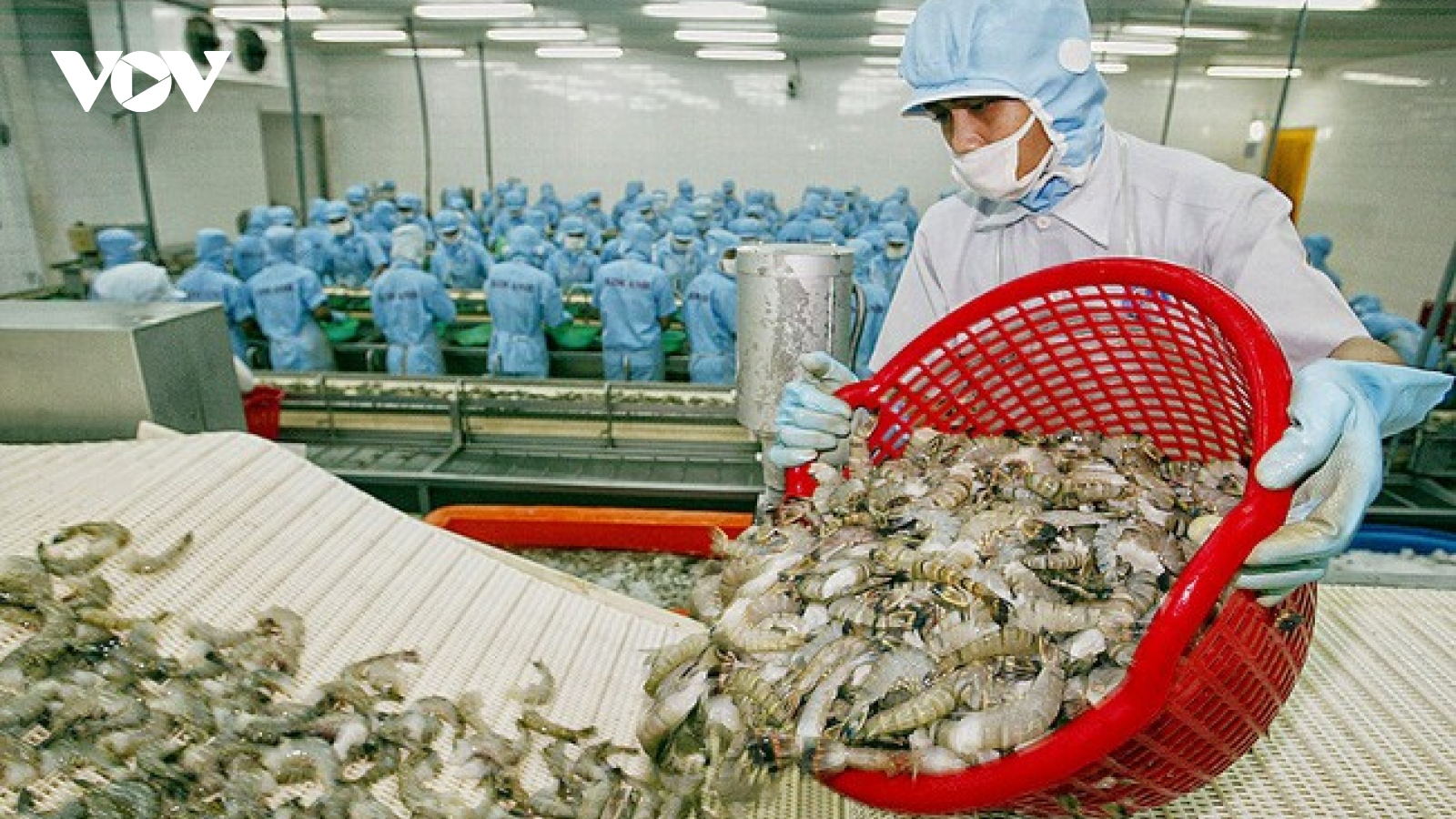 Vietnam leads the way in shrimp exports to Canada
