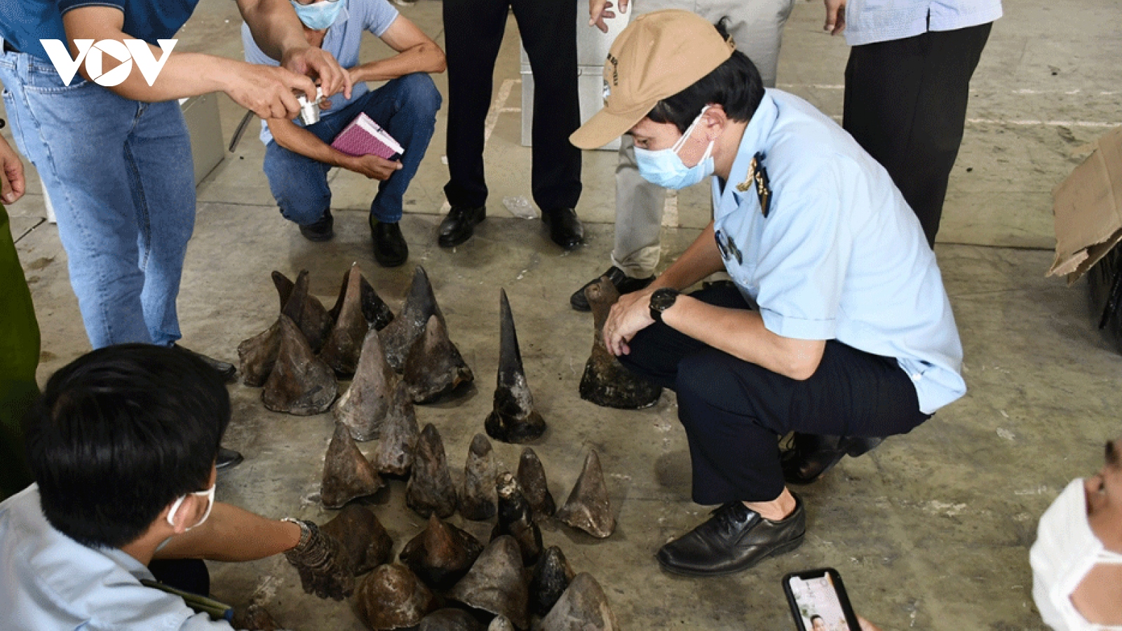 Big shipment of rhino horns, wild animal bones seized in Da Nang