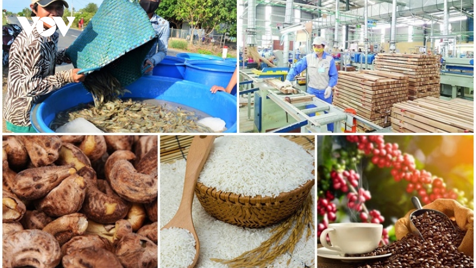 Vietnamese export turnover enjoys 28.4% surge in first half 