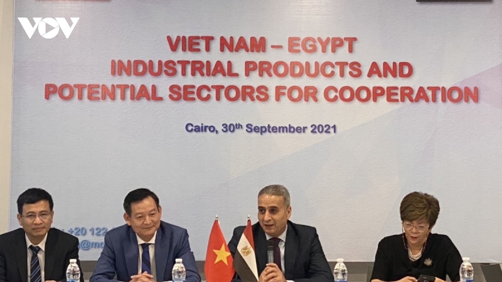 Vietnam, Egypt seek to promote post-COVID-19 trade exchange