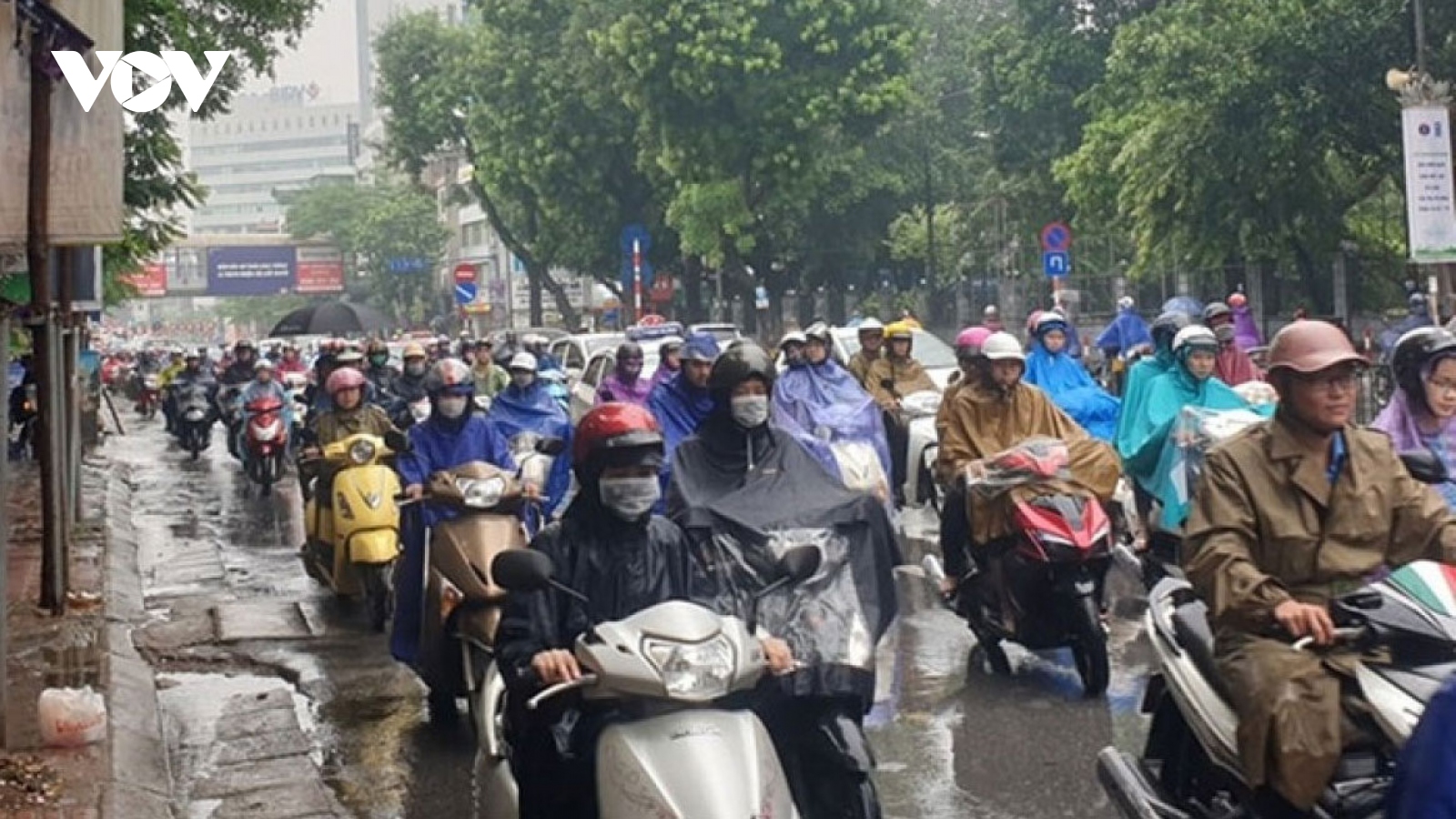 Hanoi sees air quality improve due to heavy rain 