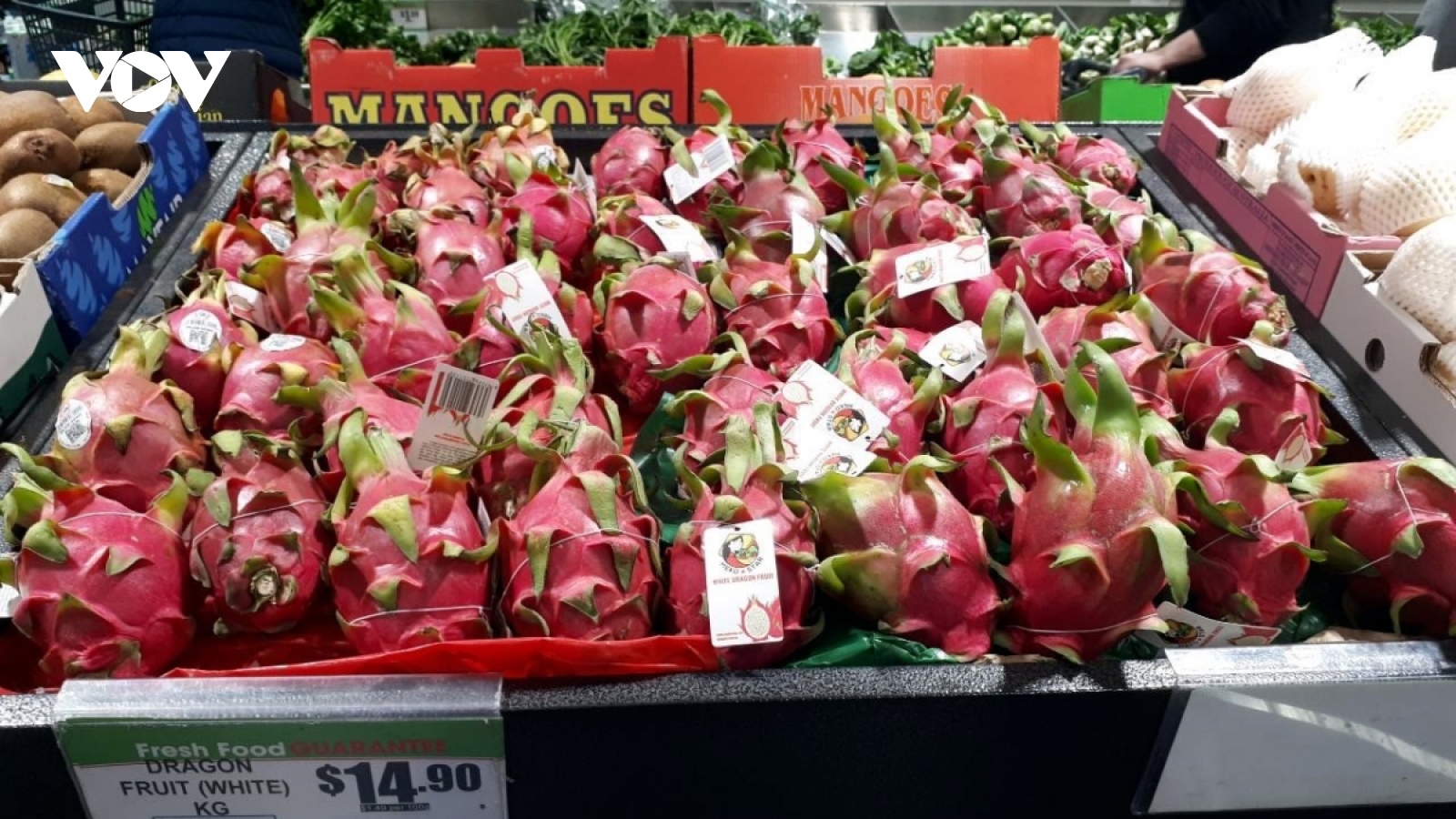 Vietnamese dragon fruit exports enjoy robust growth to Australian market