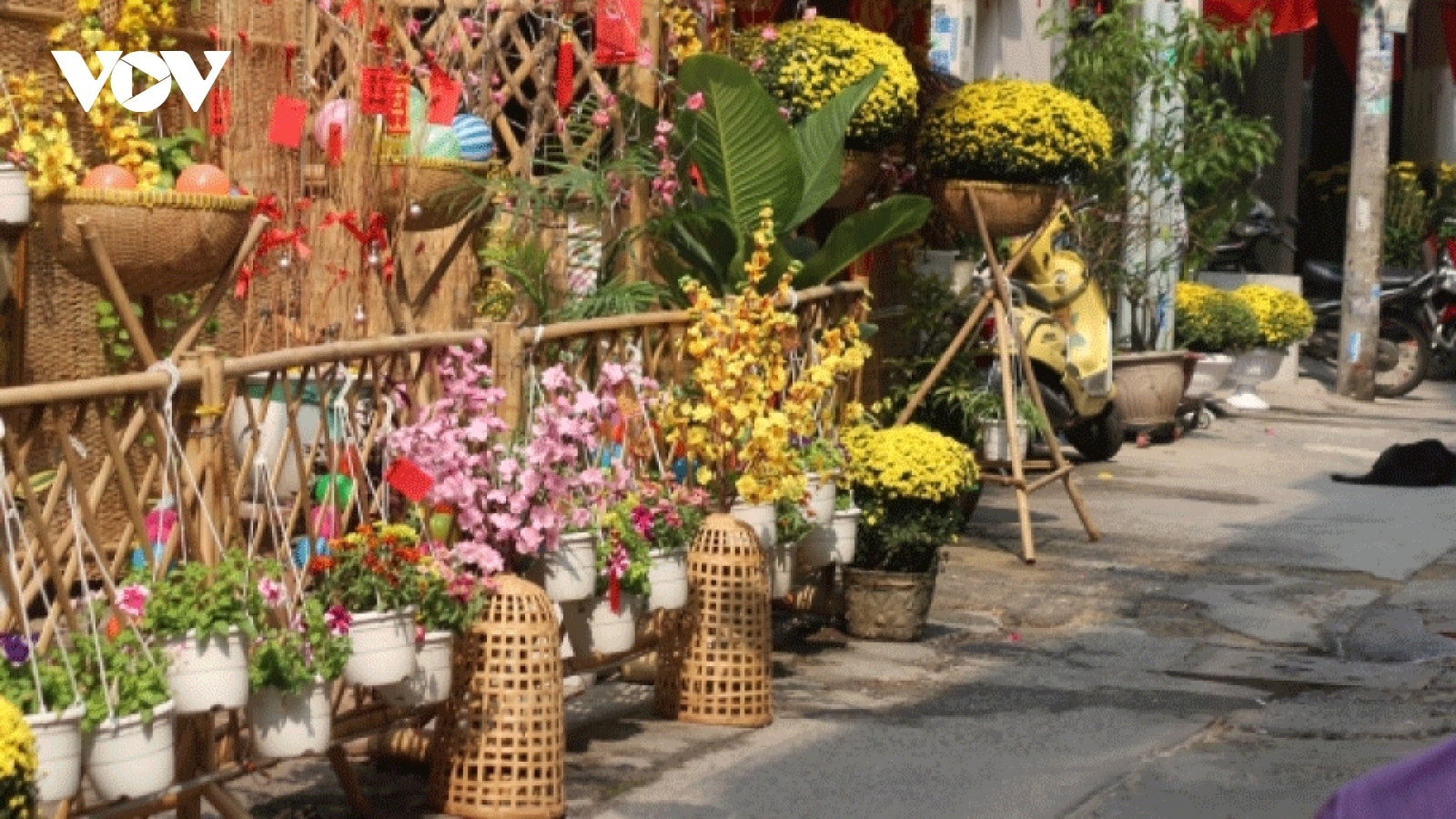 Tet decorations spring up in every HCM City corner