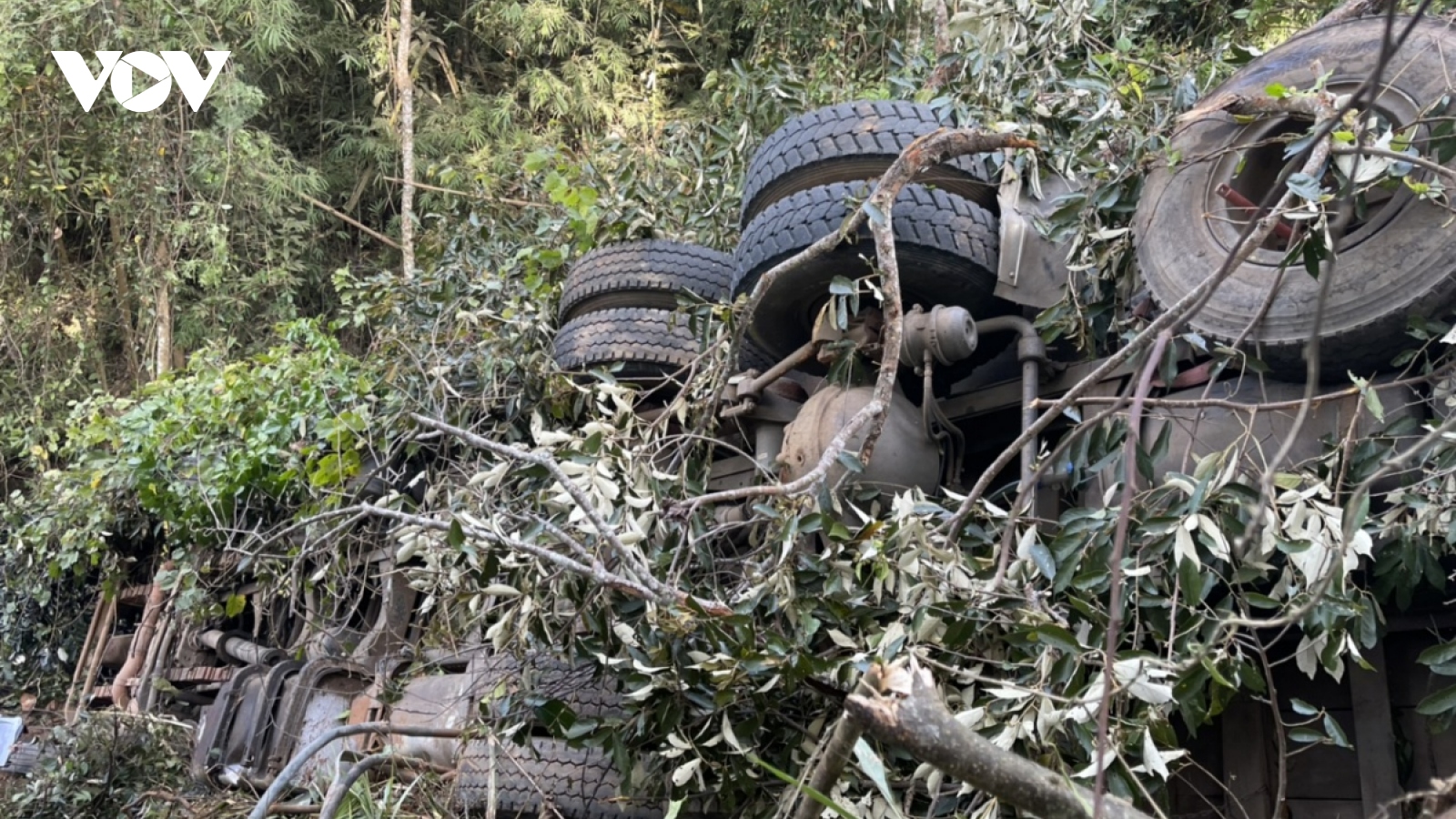 Six dead and three injured as truck plunges off cliff in Gia Lai