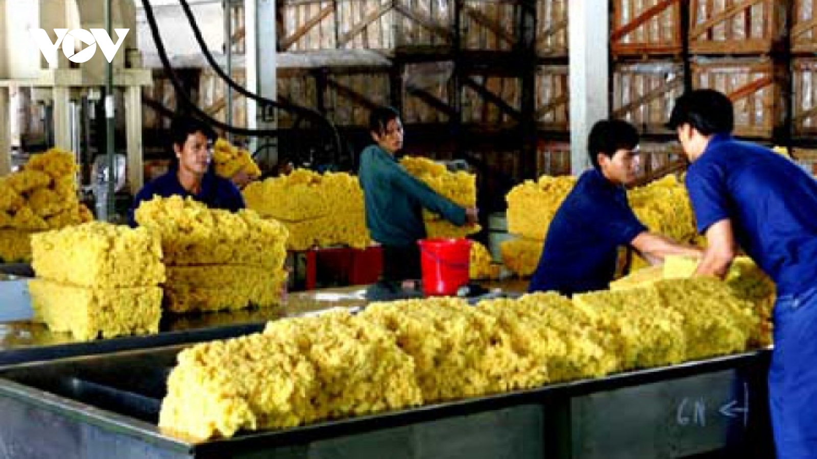 10 biggest rubber import markets increase purchase of Vietnamese rubber