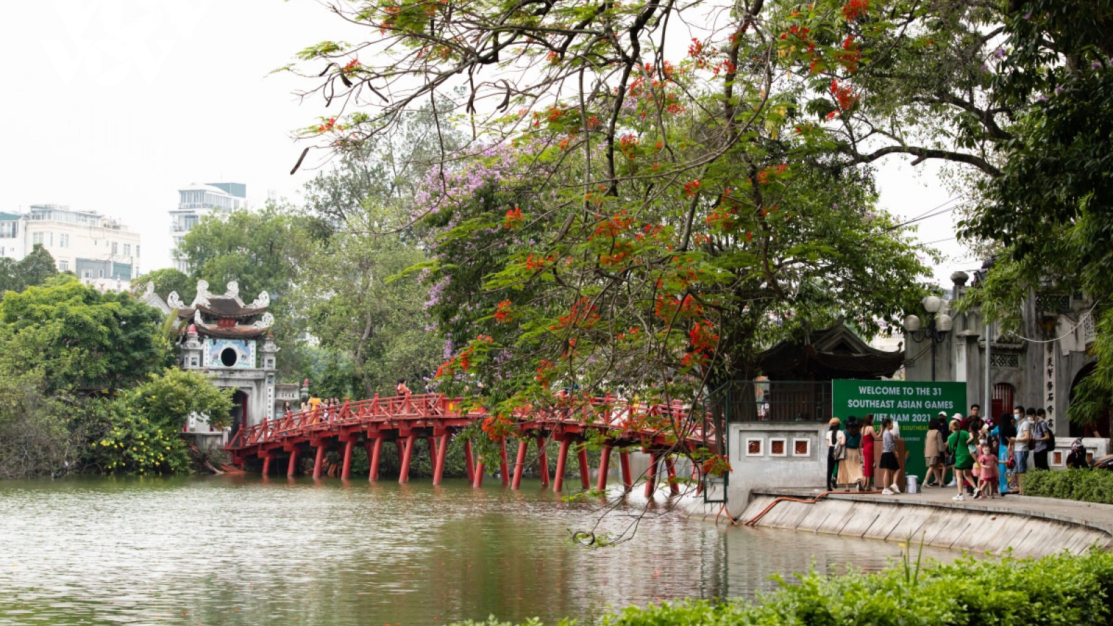 Hanoi streets adorned with red flamboyant blossoming