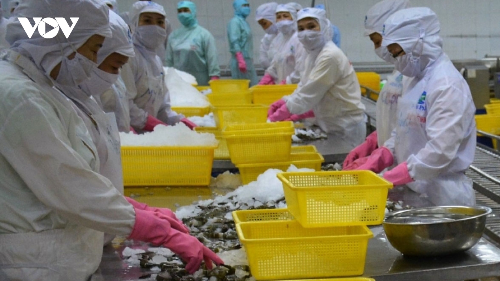 Shrimp exports to US, China endures double-digit decrease in July