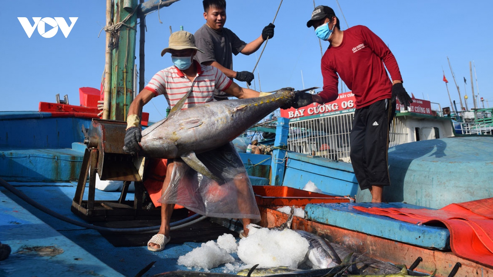 Tuna exports to Israel skyrocket by 83%
