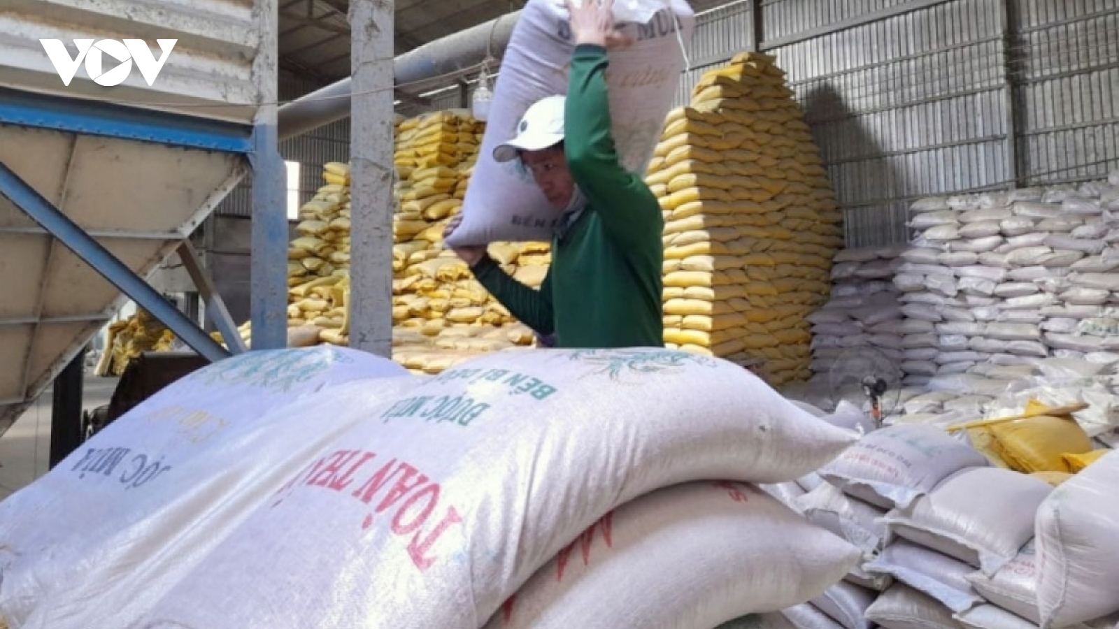 Vietnam to balance rice export to ensure food security amid global rice shortage