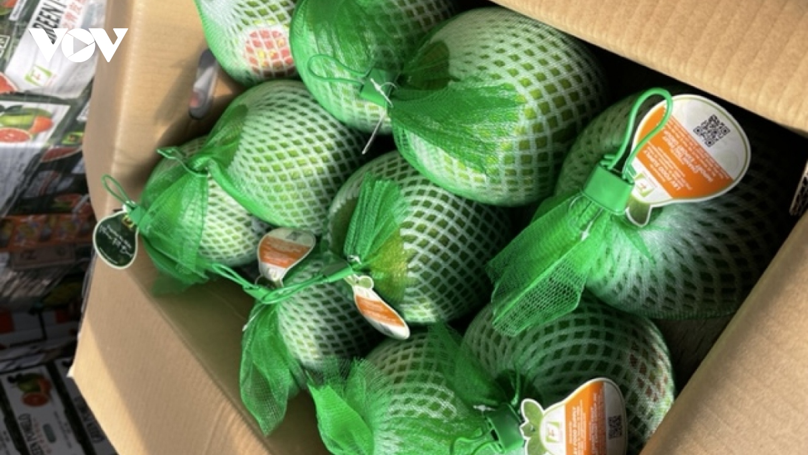 Vietnamese grapefruit exports skyrocket