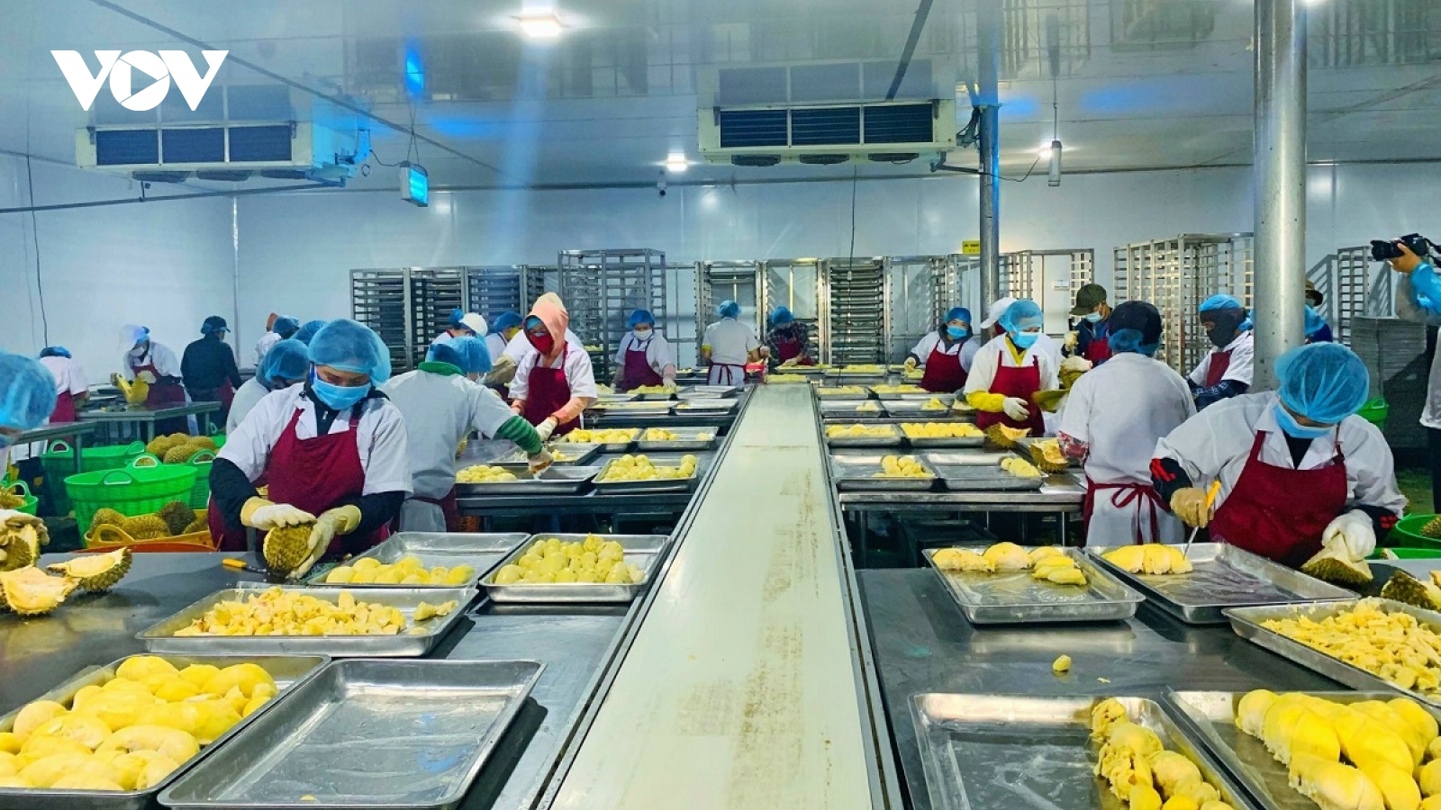 Agriculture remains only bright spot in Vietnamese exports: HSBC